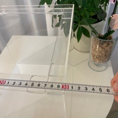 あげます　アクリル水槽30 cm    キューブの画像