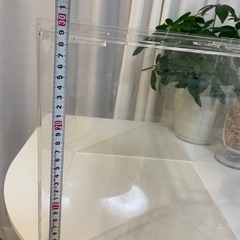 あげます　アクリル水槽30 cm    キューブの画像