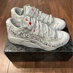 ジモティー限定価格！ザイオン3 zion3の画像