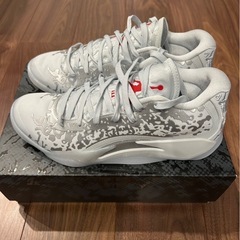 ジモティー限定価格！ザイオン3 zion3の画像