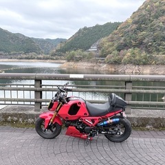 グロム jc92の画像