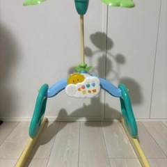 プーメリーの画像