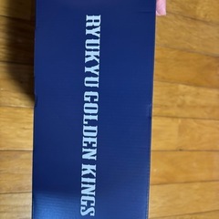 琉球ゴールデンキングス スリッパ 【新品、未使用】の画像