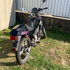 商談中
ウルフ50の画像