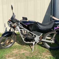 商談中
ウルフ50の画像