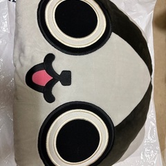 【差し上げます】アイルとメラルーのビッグクッションの画像