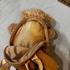 テディベアのリュックの画像