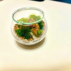 ジャンク品複合機の画像