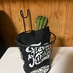 ミニポーチ4個　　プランターカバーにいかが？の画像