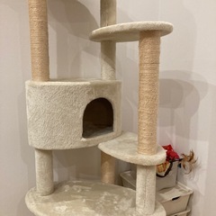 キャットタワーの画像