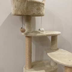キャットタワーの画像