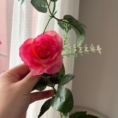 造花の画像