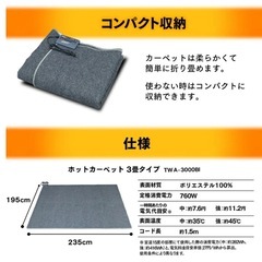 省エネ3畳TEIKOS ホットカーペット 195x235cm 速暖　ダニ退治の画像