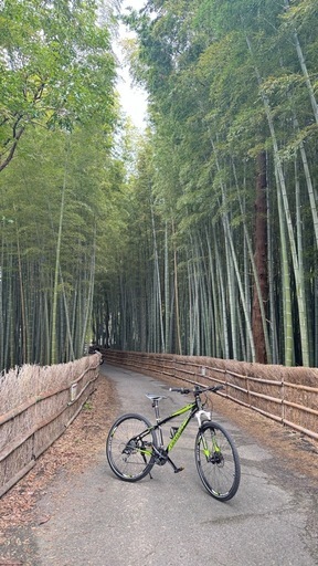MTB