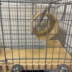 小動物用ケージの画像