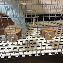 小動物用ケージの画像