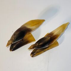 置物 鶴 小鳥 水牛の角 セットの画像