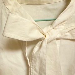 ⦅MIIA⦆ ボウタイブラウス、フリーサイズ、シャツ、長袖の画像