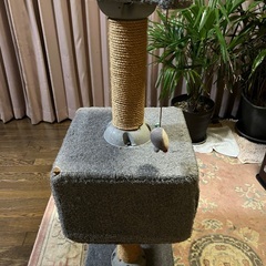 キャットタワーの画像