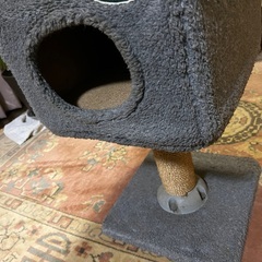 キャットタワーの画像