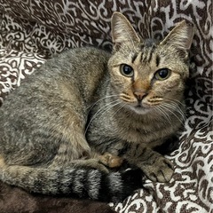 超❤️甘えん坊な女の子🎀