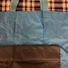 ヴィクトリアシークレット　特大ナイロンバッグの画像