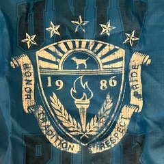 ヴィクトリアシークレット　特大ナイロンバッグの画像