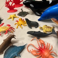 お風呂遊び　海の生き物15種類の画像