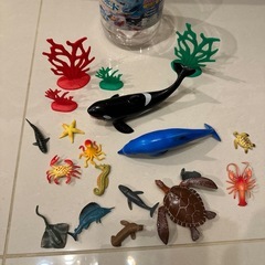 お風呂遊び　海の生き物15種類の画像
