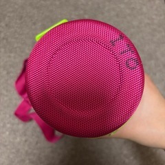 廃盤　アディダス水筒1リットルの画像