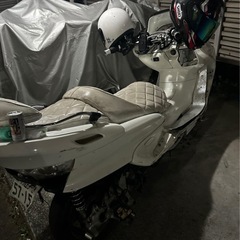 マジェスティの画像