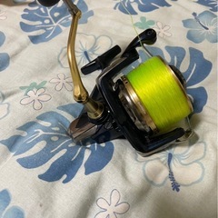 ブルズアイ　9120の画像