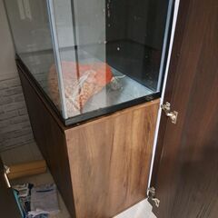 900水槽　水槽台の画像