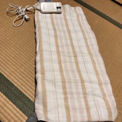 電気敷き毛布の画像