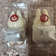 コーララブブの画像