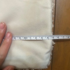 クッションカバー ニトリデコホームの画像