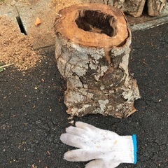 寸胴式日本蜜蜂待ち箱の画像