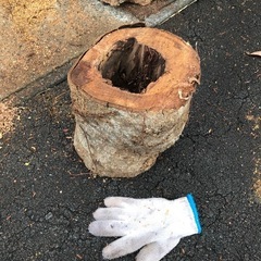 寸胴式日本蜜蜂待ち箱の画像