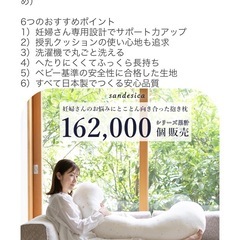 サンデシカ　抱き枕　授乳クッションの画像