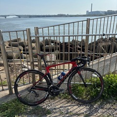 スコットフォイル30 2019リムブレーキの画像