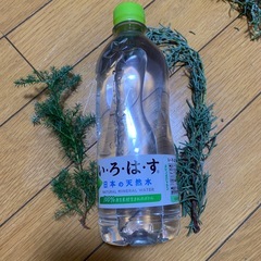 リースやスワッグの材料の画像