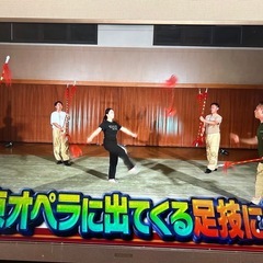 55インチテレビ　画面に線ありの画像