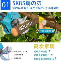 電動剪定バサミ❣️電動バサミ 切断径40mmのコードレス2段階開き バッテリー付の画像