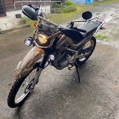 セロー250の画像