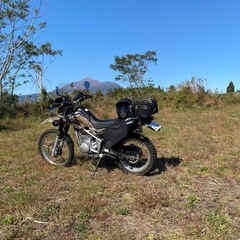 セロー250の画像