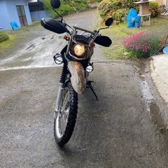 セロー250の画像