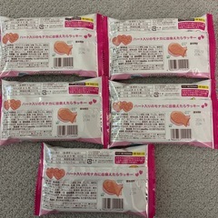 名糖産業のチョコレート詰め合わせ10点の画像