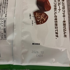 名糖産業のチョコレート詰め合わせ10点の画像