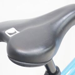 LOUIS GARNEAU 「ルイガノ」 K18 LITE 2020年モデル 18インチ キッズバイクの画像