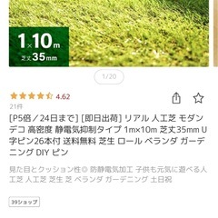 人工芝マット 1×10m
の画像